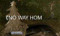《NO WAY HOME》免费在线观看
